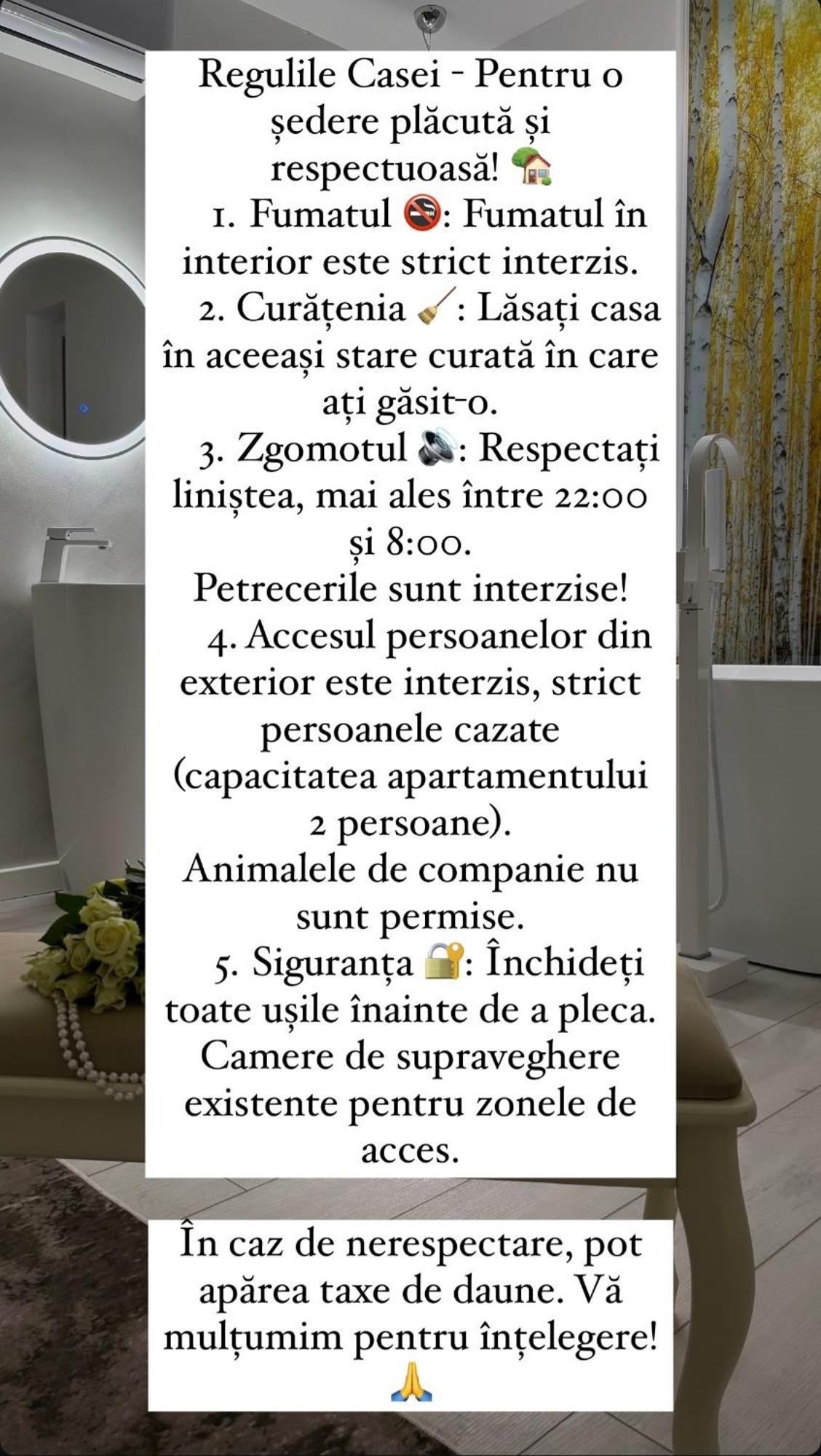 Am Apartments 13 Timișoara Zewnętrze zdjęcie
